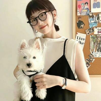 李米的猜想