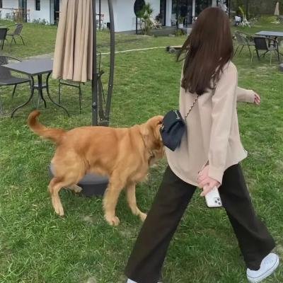荒凉幻境